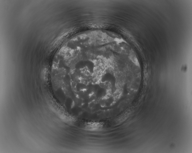 X0000115720161200912031558