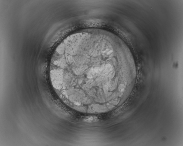 X0000115720162200912031559