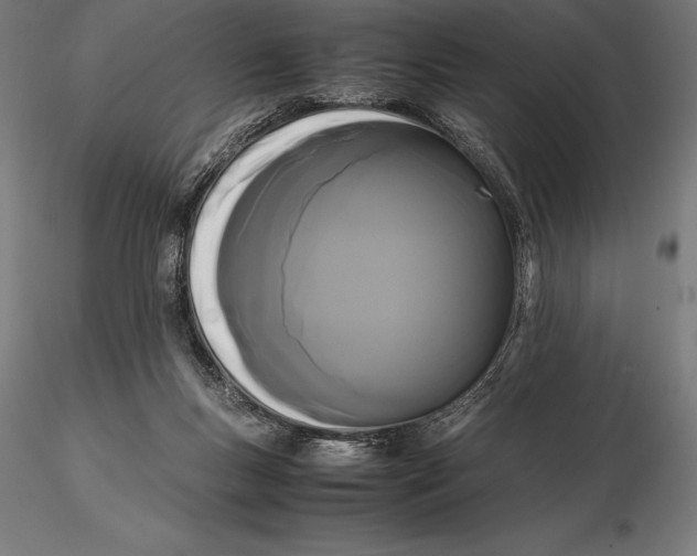 X0000115720167200912031559
