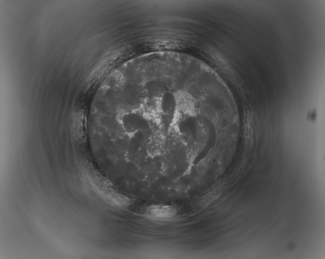 X0000115720169200912031559