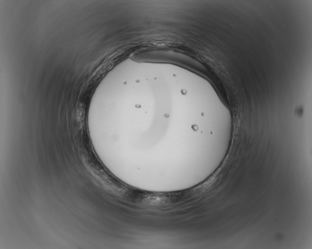 X0000115720174200912031559