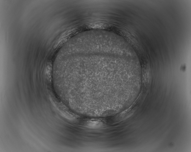 X0000115720175200912031559