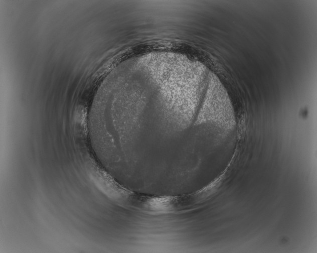X0000115720178200912031559