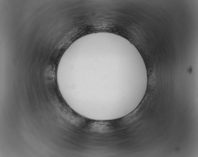X0000115720179200912031559