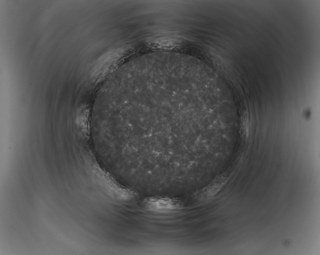X0000115720181200912031559