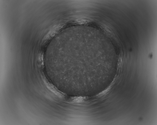 X0000115720182200912031559