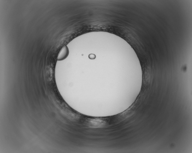 X0000115720183200912031559