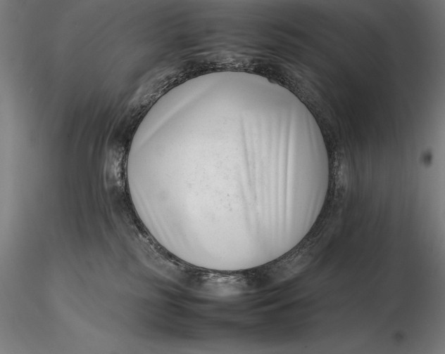 X0000115720185200912031559