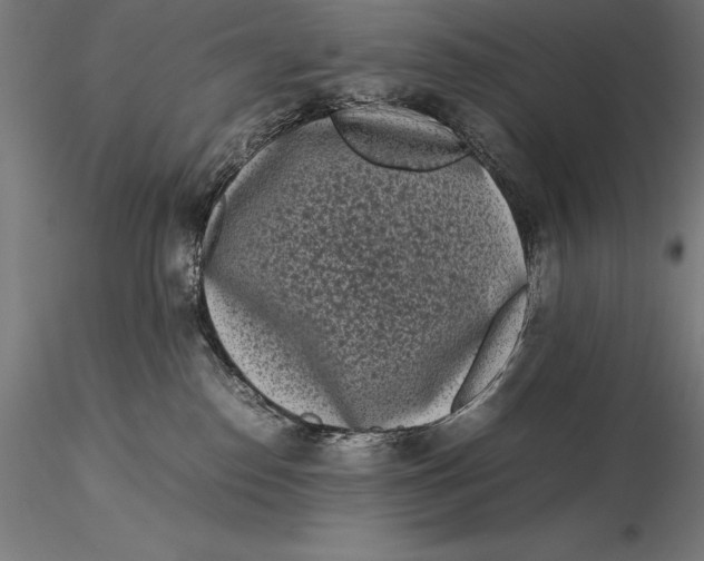 X0000115720186200912031559