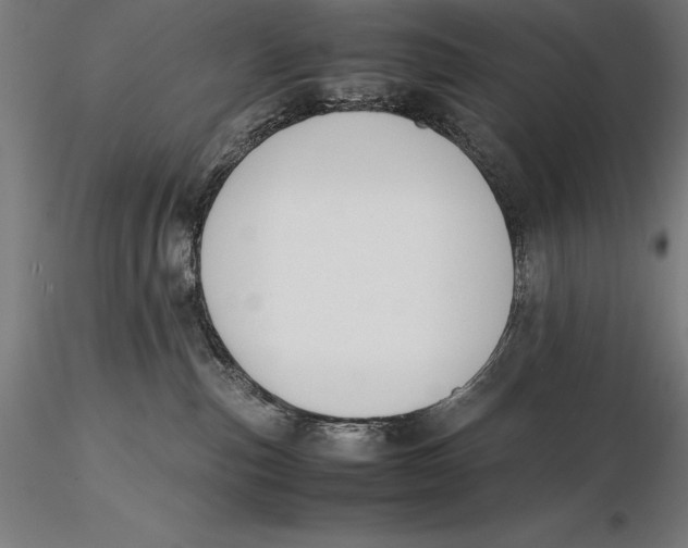 X0000115720187200912031559