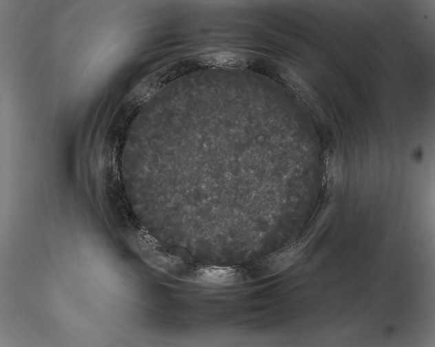 X0000115720189200912031559