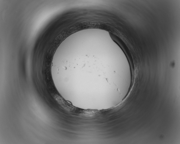 X0000115720190200912031559