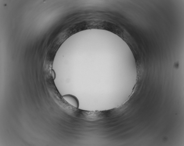 X0000115720191200912031559