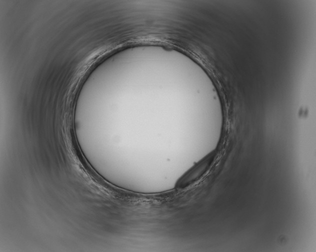 X0000115720193200912031558