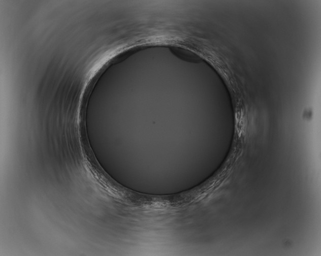 X0000115720196200912031558
