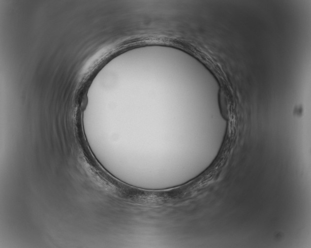 X0000115720197200912031558