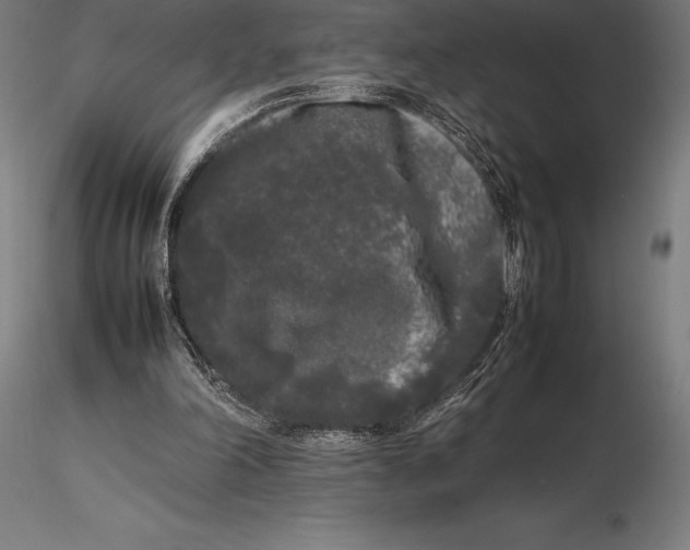 X0000115720198200912031558