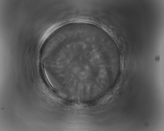 X0000115720199200912031558