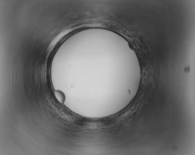 X0000115720200200912031558