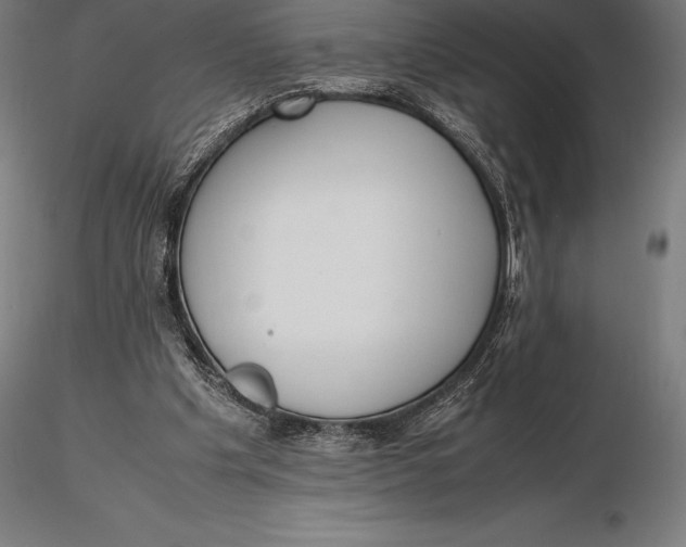 X0000115720201200912031558