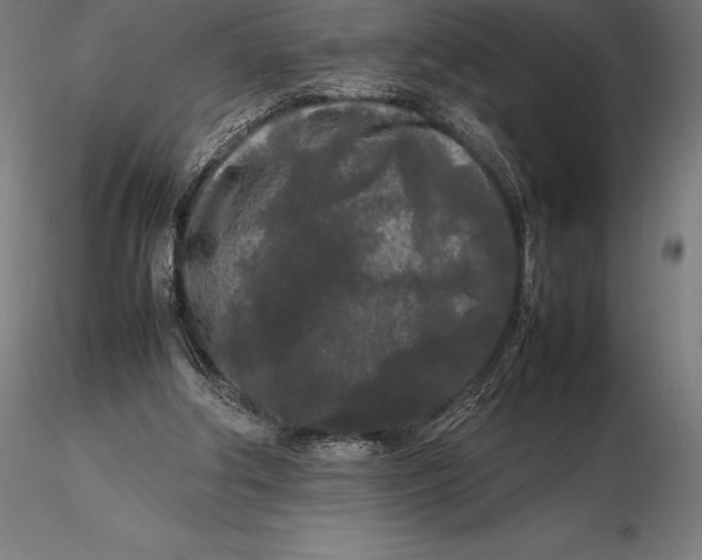 X0000115720202200912031558
