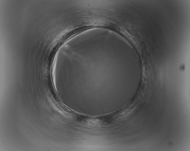 X0000115720203200912031558