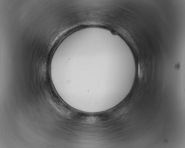 X0000115720204200912031558