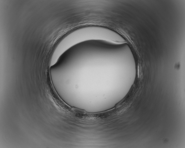 X0000115720205200912031558