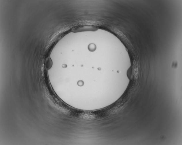 X0000115720207200912031558