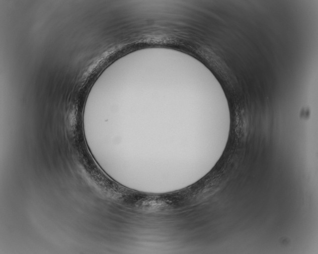 X0000115720208200912031558