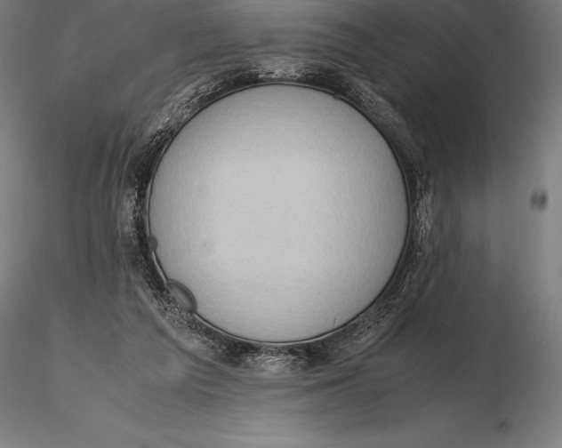 X0000115720209200912031558