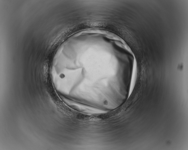 X0000115720210200912031558