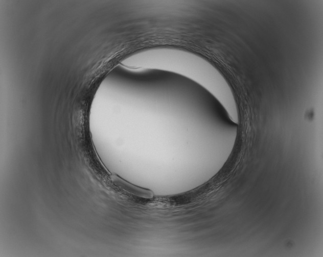 X0000115720211200912031558
