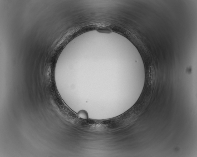 X0000115720212200912031558