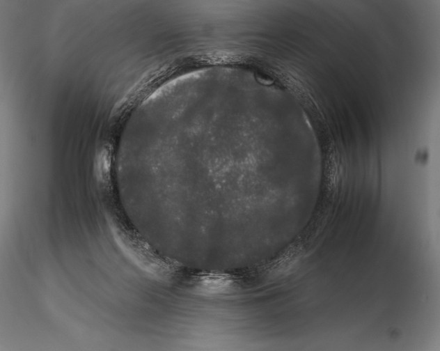 X0000115720214200912031558