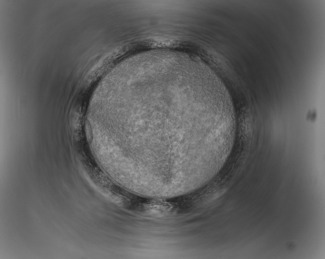 X0000115720215200912031558