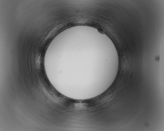 X0000115720216200912031558