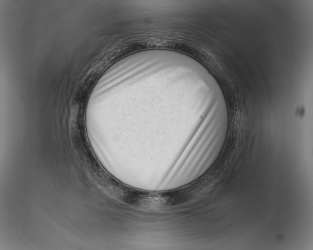 X0000115720217200912031558