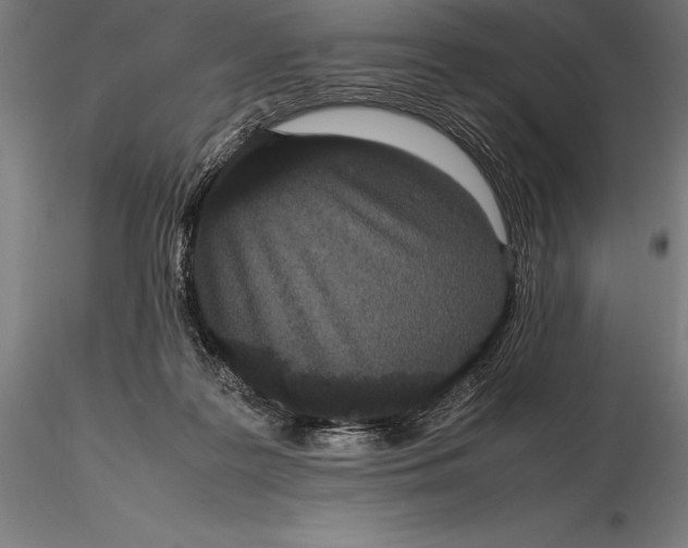 X0000115720219200912031558