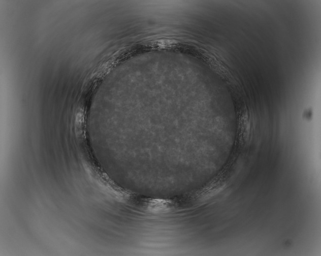 X0000115720222200912031558