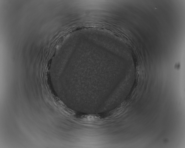 X0000115720223200912031558