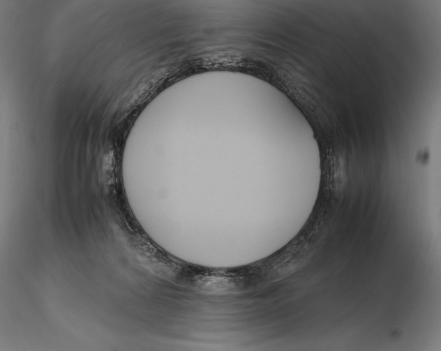 X0000115720224200912031558