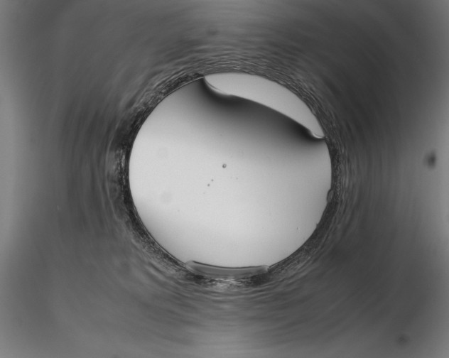 X0000115720229200912031558