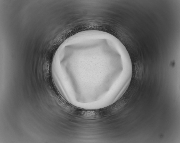 X0000115720230200912031558