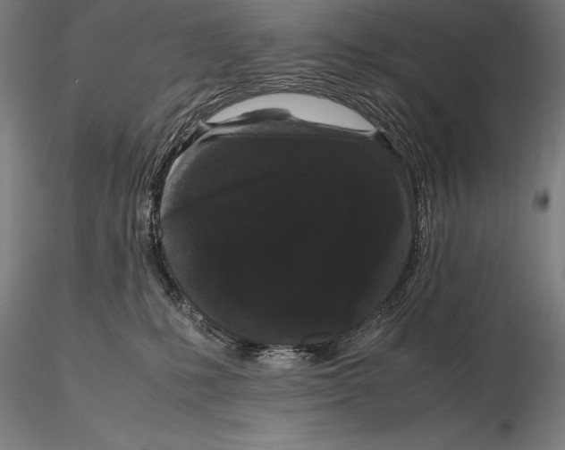 X0000115720231200912031558