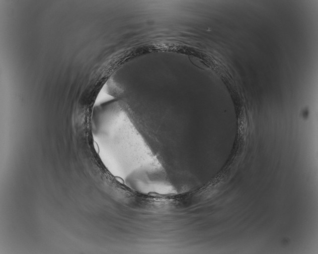 X0000115720233200912031558