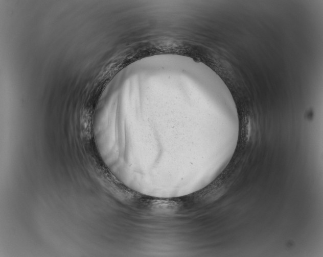 X0000115720234200912031558