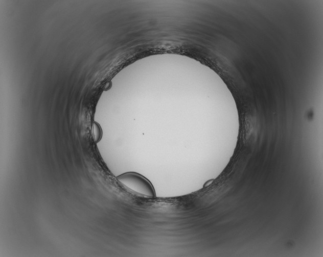 X0000115720236200912031558