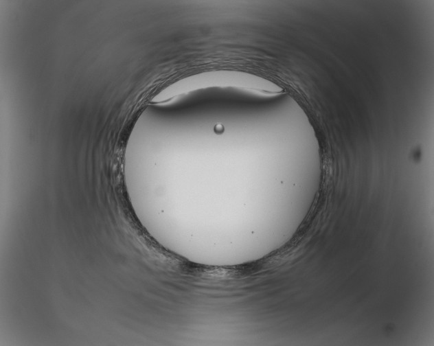 X0000115720237200912031558