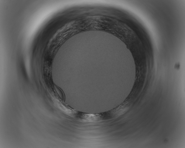 X0000115720239200912031558